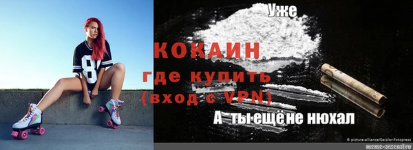 дмт Аркадак