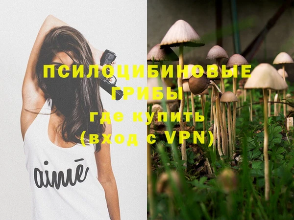 дмт Аркадак
