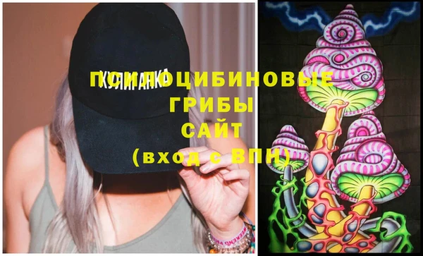 дмт Аркадак