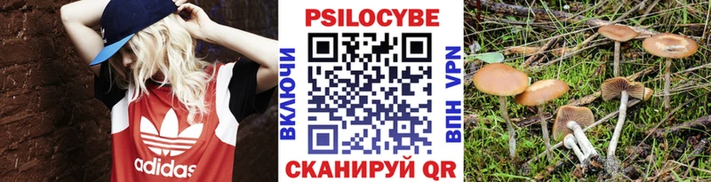 Галлюциногенные грибы Magic Shrooms  Спасск-Рязанский 